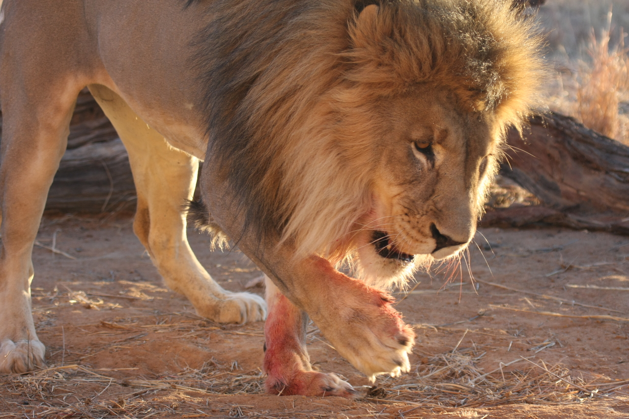[8717] 2016_06_23_11_56_43_Africa_Canon_EOS_40D_IMG__01844.jpg