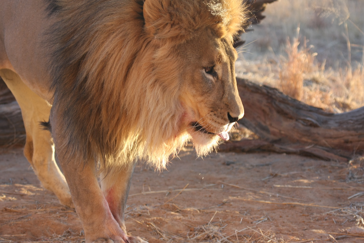 [8723] 2016_06_23_11_56_44_Africa_Canon_EOS_40D_IMG__01014.jpg