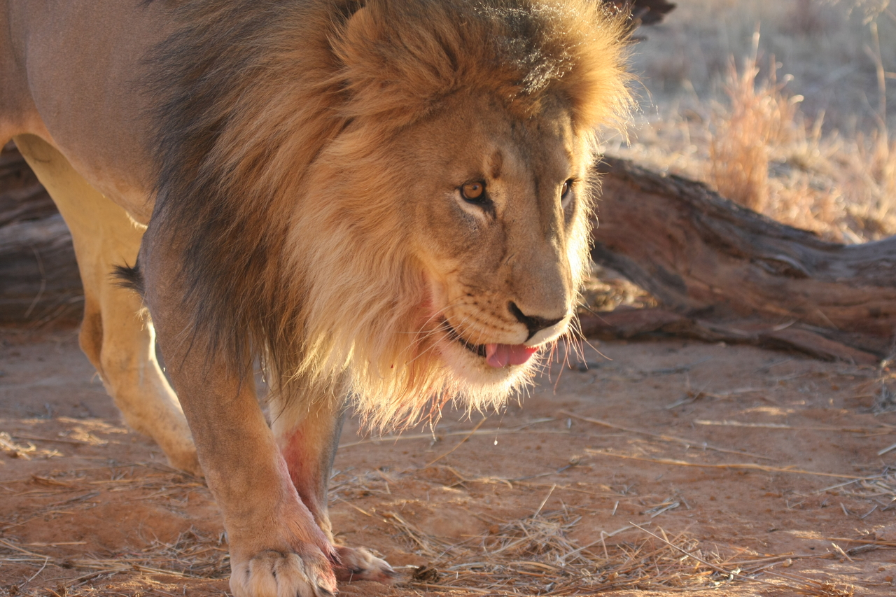 [8725] 2016_06_23_11_56_44_Africa_Canon_EOS_40D_IMG__01847.jpg