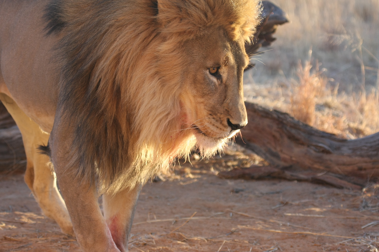 [8734] 2016_06_23_11_56_45_Africa_Canon_EOS_40D_IMG__01850.jpg