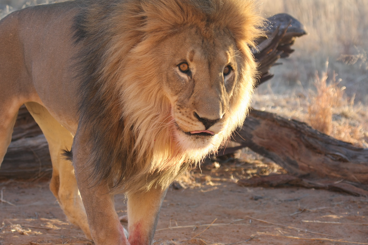 [8741] 2016_06_23_11_56_46_Africa_Canon_EOS_40D_IMG__01852.jpg
