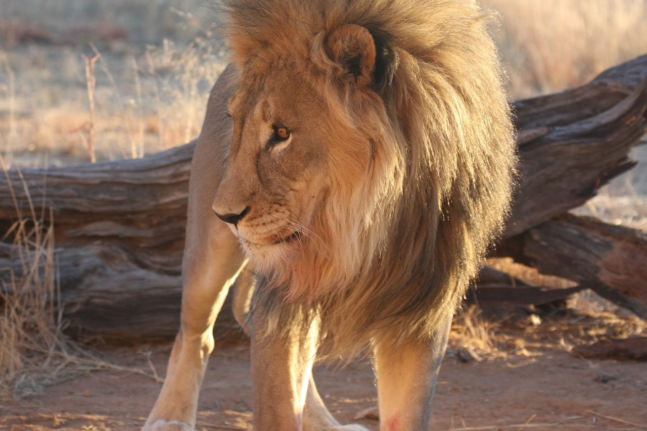 [8747] 2016_06_23_11_56_47_Africa_Canon_EOS_40D_IMG__09302.jpg