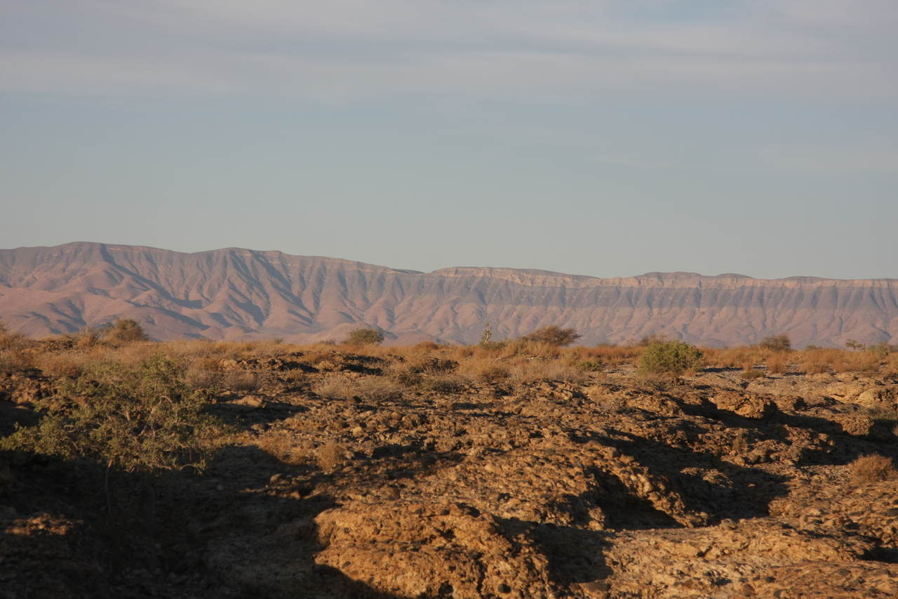 [13890] 2016_06_24_11_36_09_Africa_Canon_EOS_40D_IMG__09385.jpg