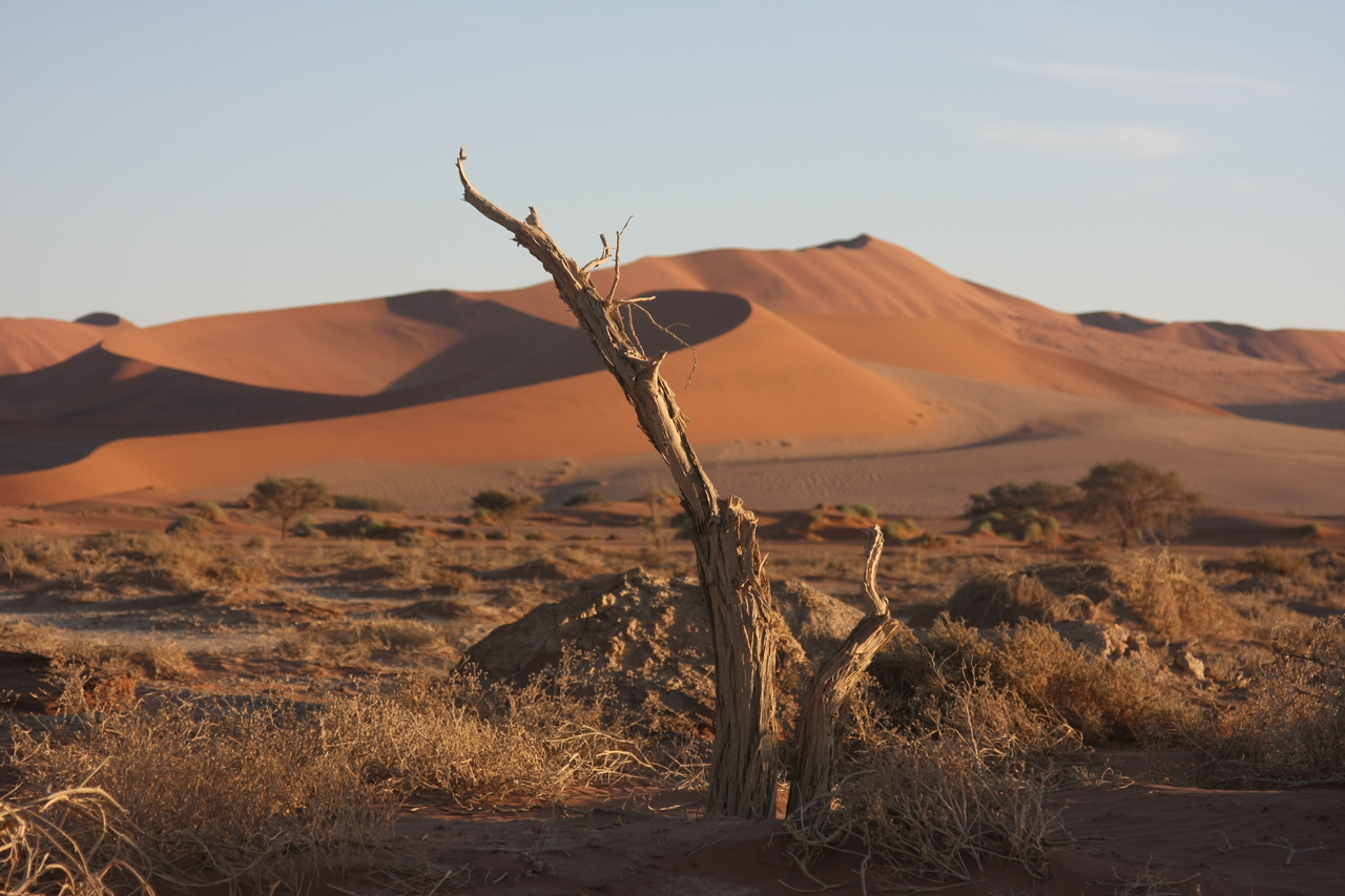 [14695] 2016_06_25_02_20_57_Africa_Canon_EOS_40D_IMG__00114.jpg