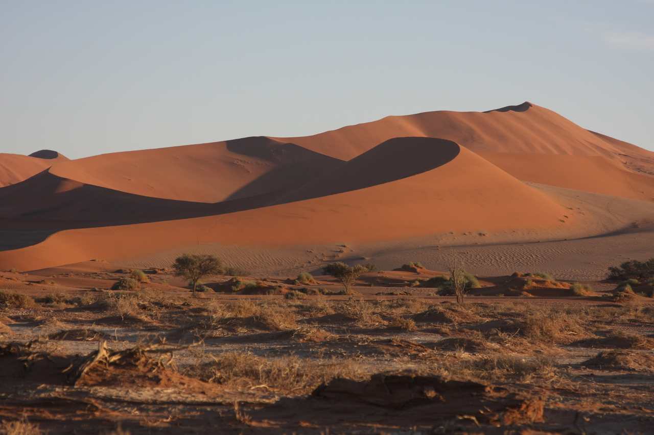 [14704] 2016_06_25_02_21_18_Africa_Canon_EOS_40D_IMG__09565.jpg