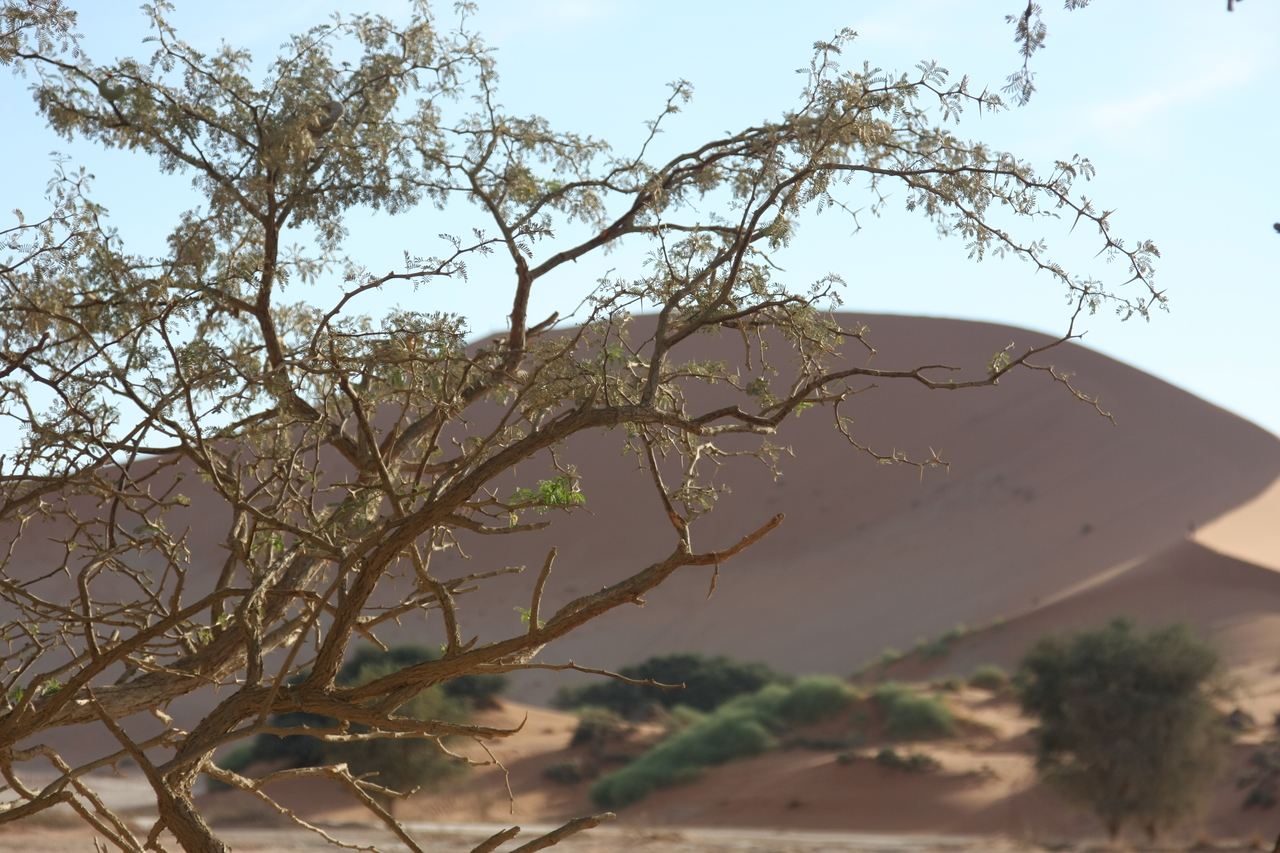 [15099] 2016_06_25_03_31_20_Africa_Canon_EOS_40D_IMG__02025.jpg