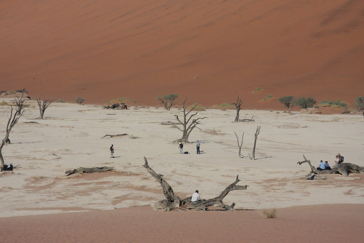[15277] 2016_06_25_04_47_59_Africa_Canon_EOS_40D_IMG__09525.jpg