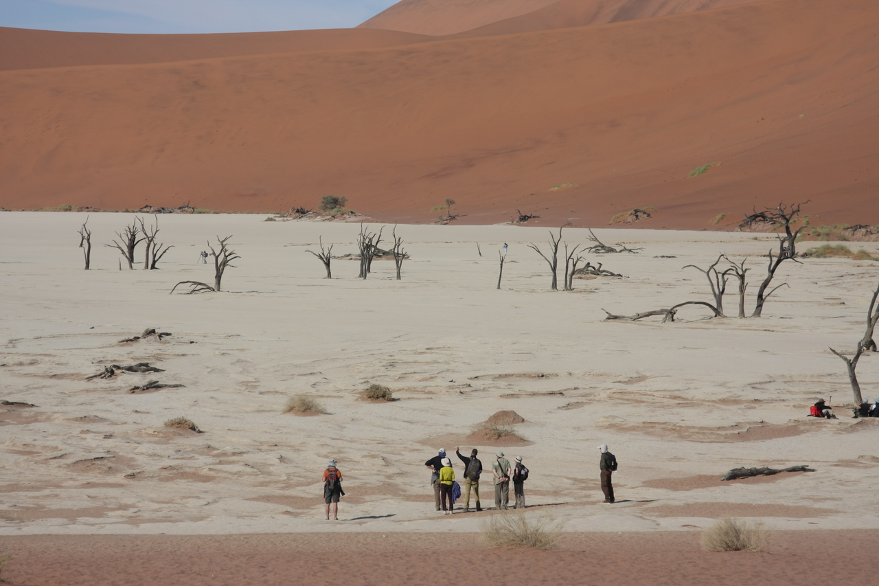 [15280] 2016_06_25_04_48_01_Africa_Canon_EOS_40D_IMG__09526.jpg