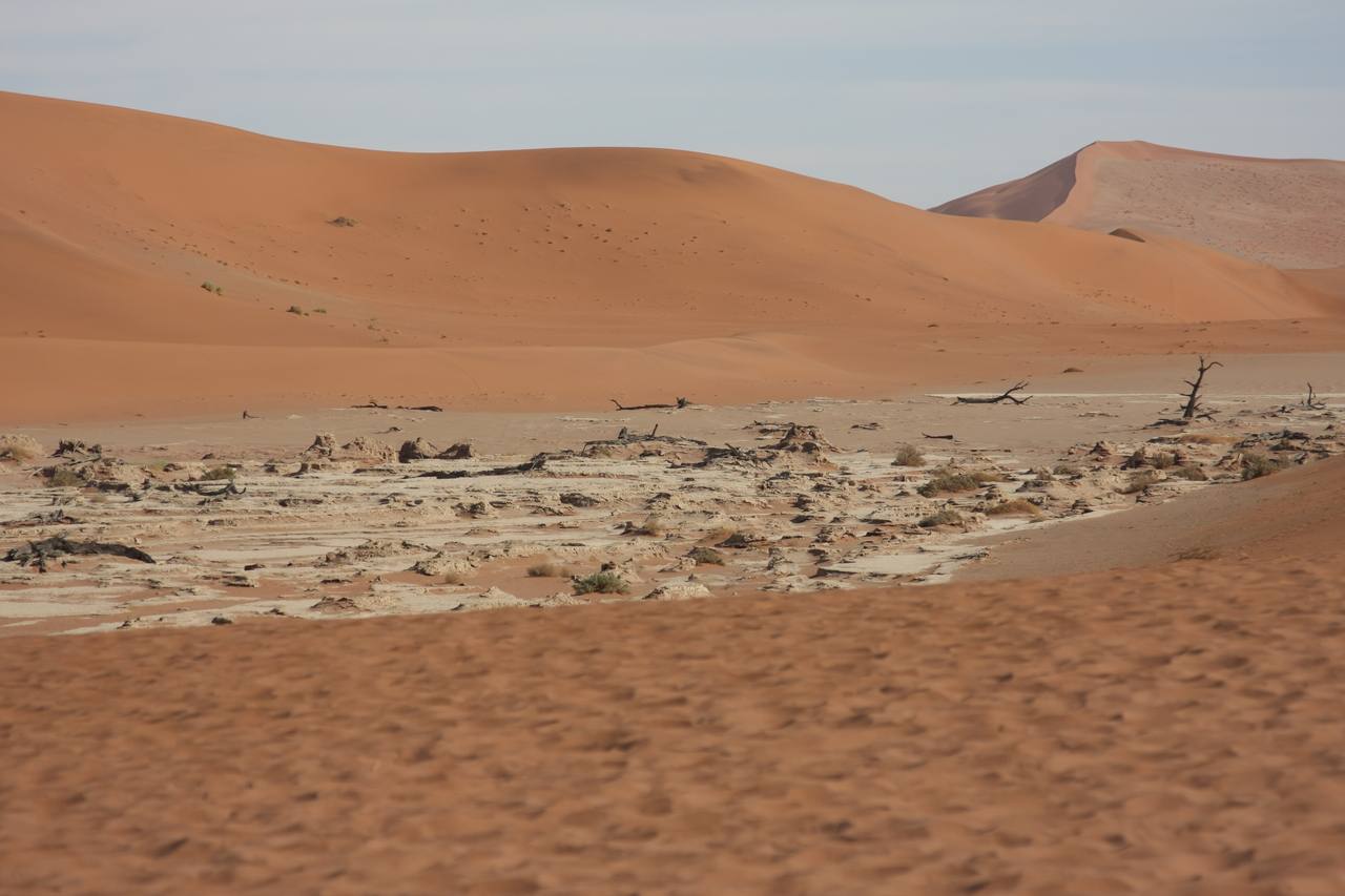 [15295] 2016_06_25_04_48_26_Africa_Canon_EOS_40D_IMG__09532.jpg
