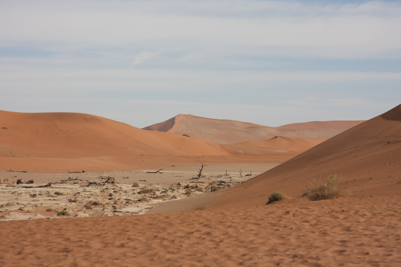 [15301] 2016_06_25_04_48_30_Africa_Canon_EOS_40D_IMG__09534.jpg