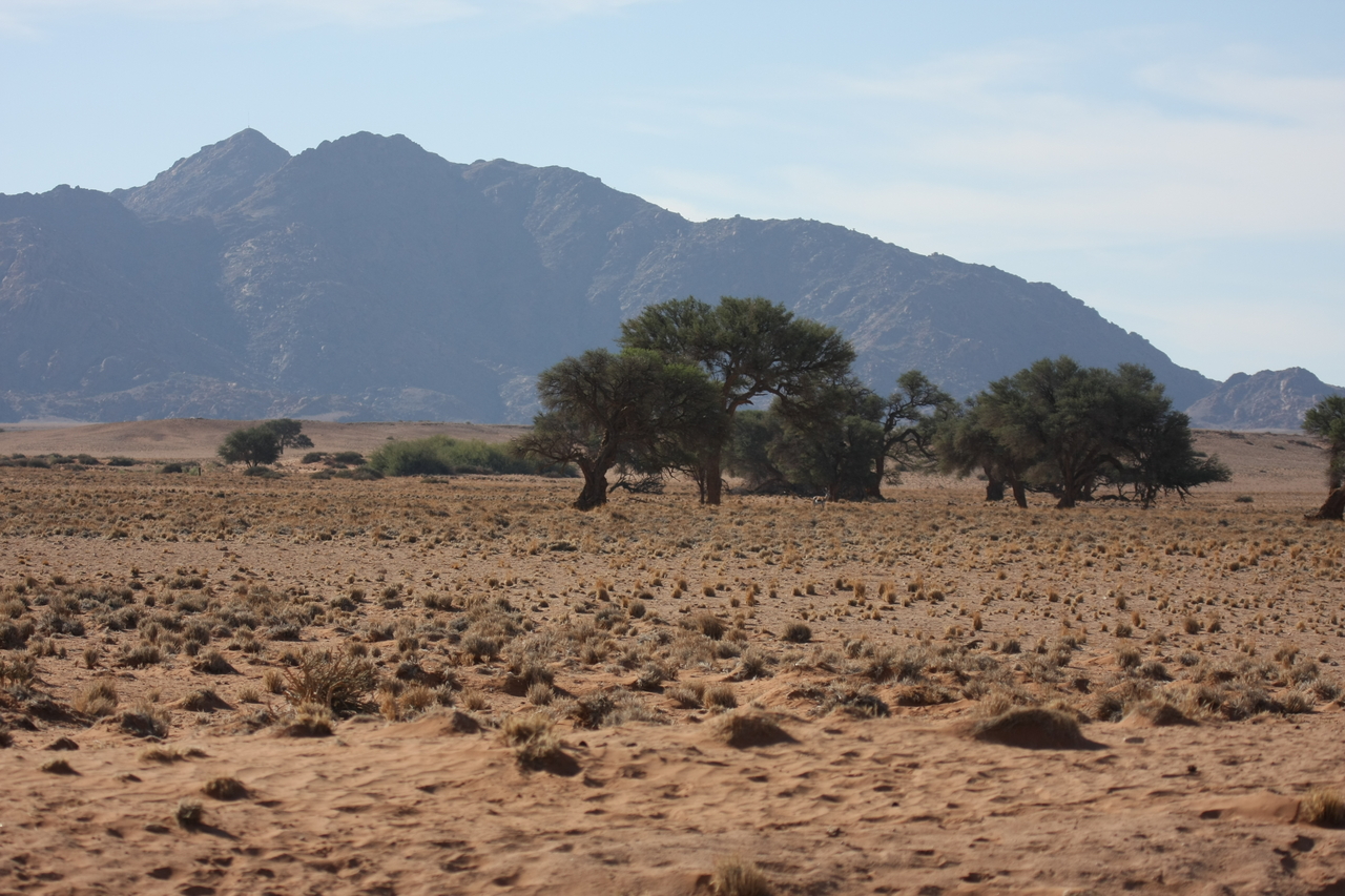 [15786] 2016_06_25_09_32_18_Africa_Canon_EOS_40D_IMG__02109.jpg