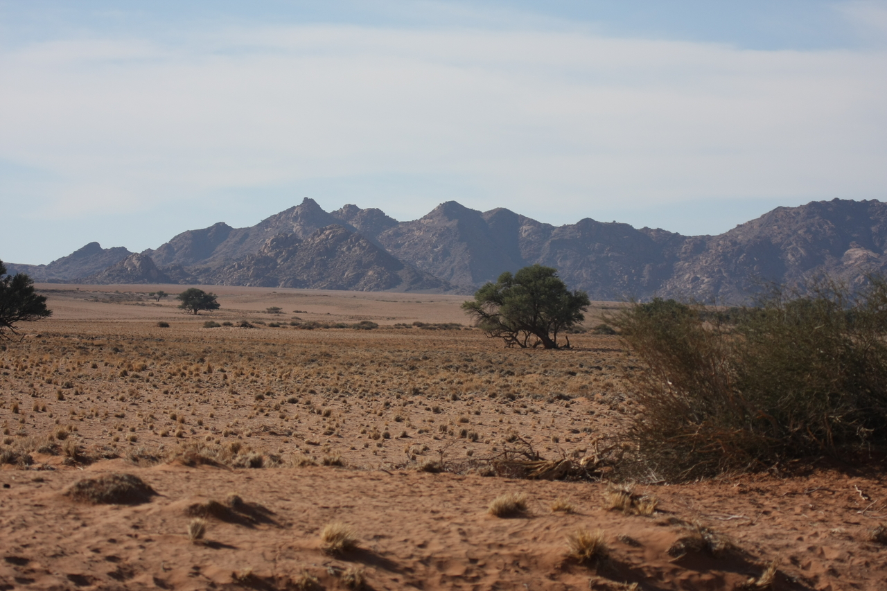 [15793] 2016_06_25_09_32_36_Africa_Canon_EOS_40D_IMG__02111.jpg