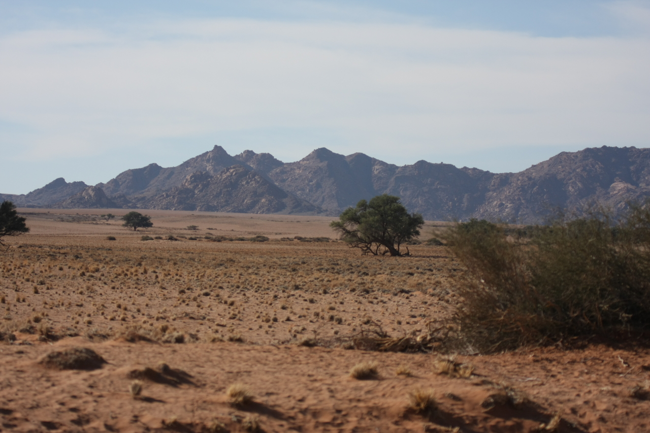 [15794] 2016_06_25_09_32_36_Africa_Canon_EOS_40D_IMG__02112.jpg