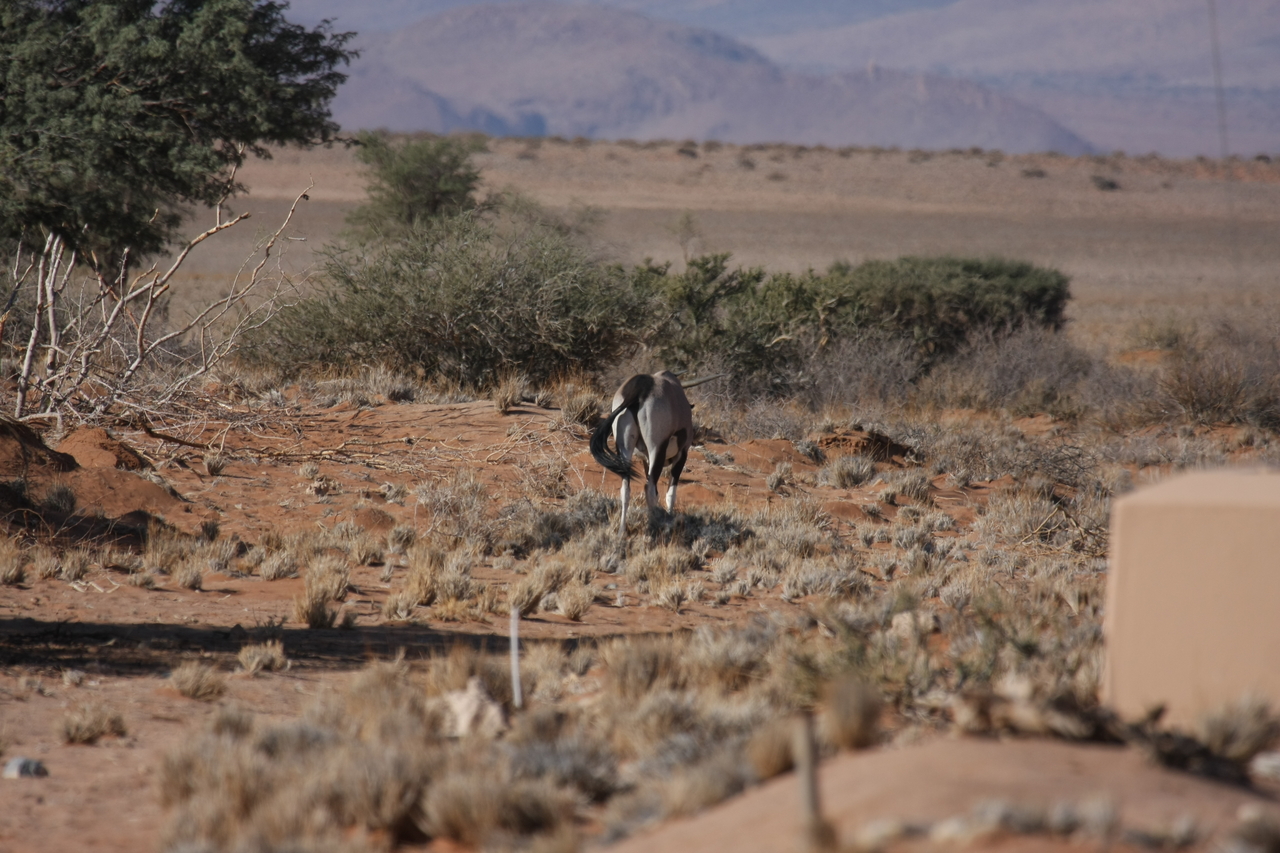 [15801] 2016_06_25_09_33_07_Africa_Canon_EOS_40D_IMG__02114.jpg