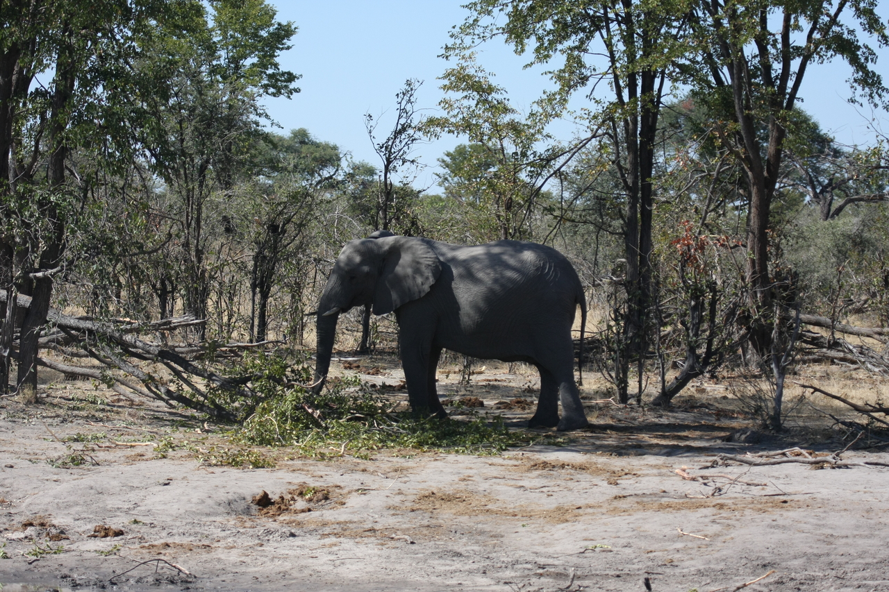 [16852] 2016_06_27_07_52_11_Africa_Canon_EOS_40D_IMG__09762.jpg