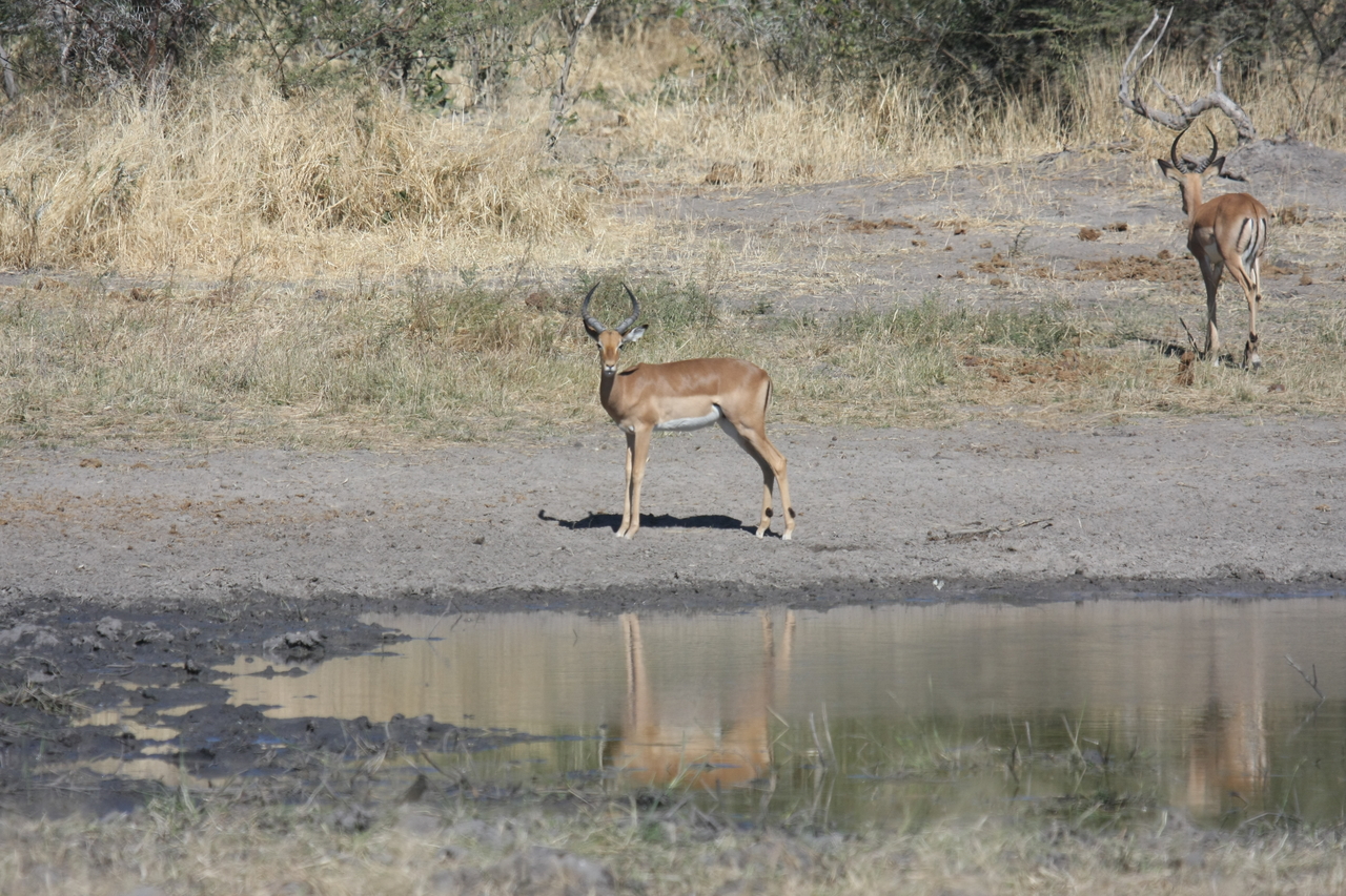 [16940] 2016_06_27_08_07_36_Africa_Canon_EOS_40D_IMG__09788.jpg
