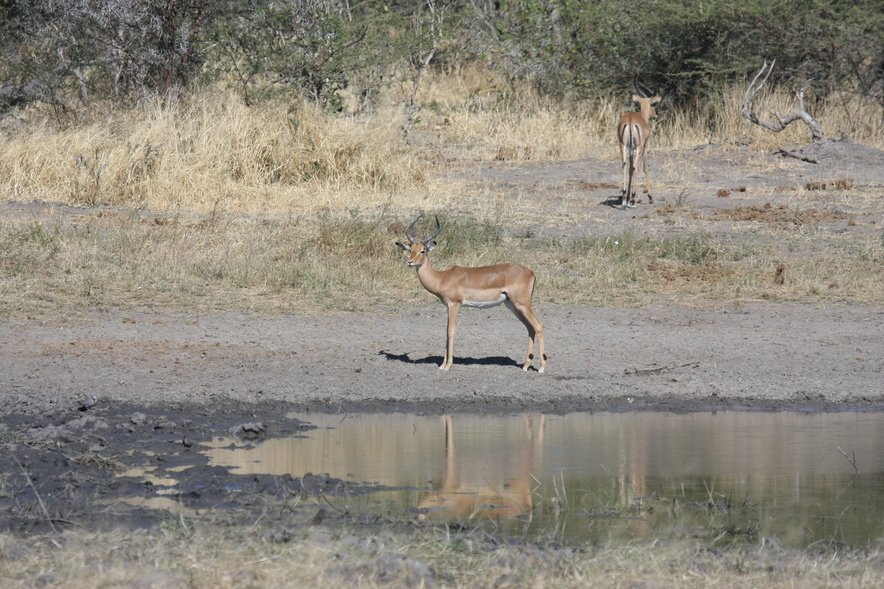 [16947] 2016_06_27_08_07_49_Africa_Canon_EOS_40D_IMG__09791.jpg