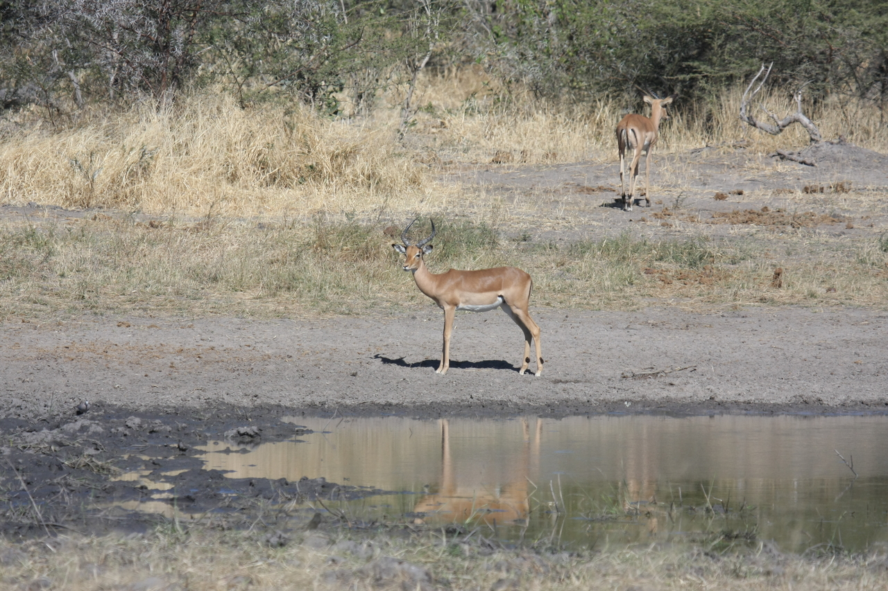 [16948] 2016_06_27_08_07_49_Africa_Canon_EOS_40D_IMG__09792.jpg