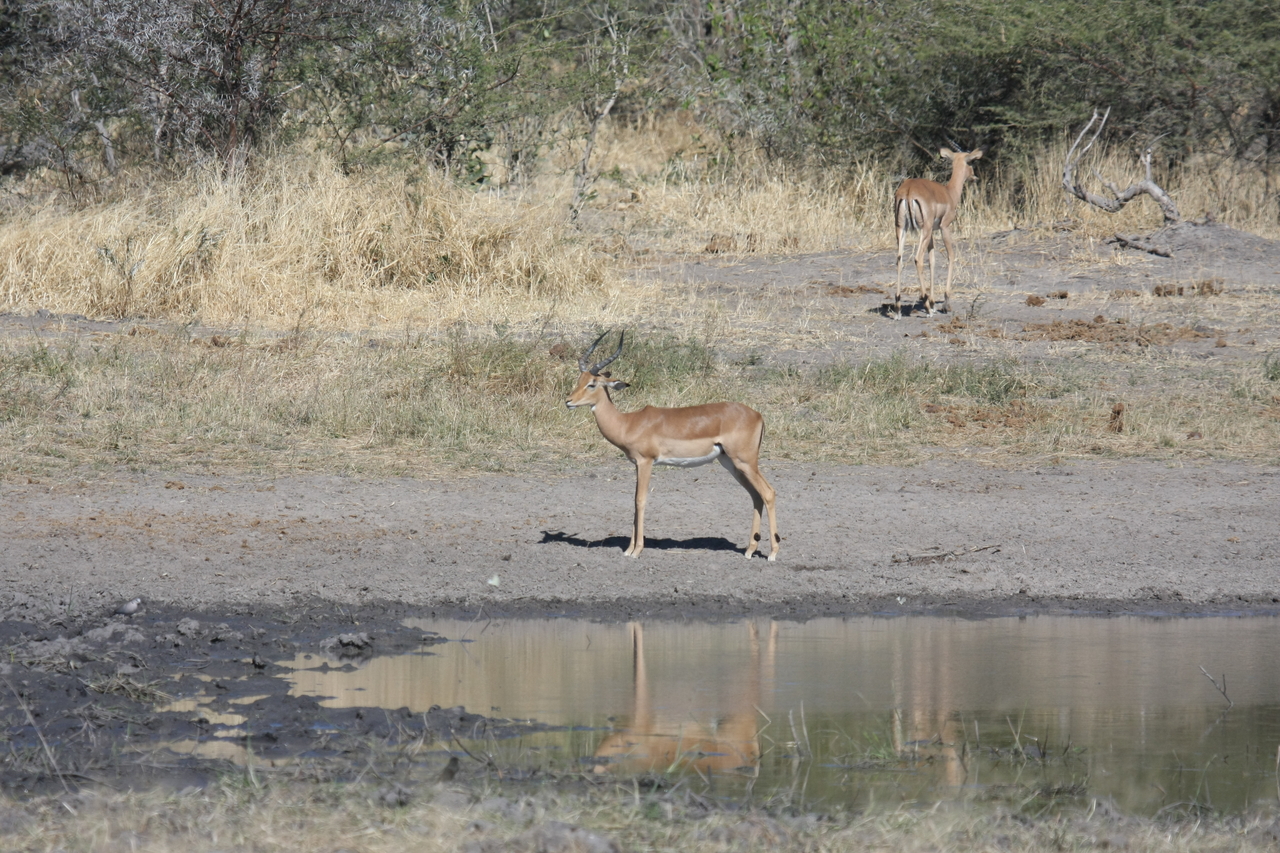 [16953] 2016_06_27_08_07_50_Africa_Canon_EOS_40D_IMG__09793.jpg