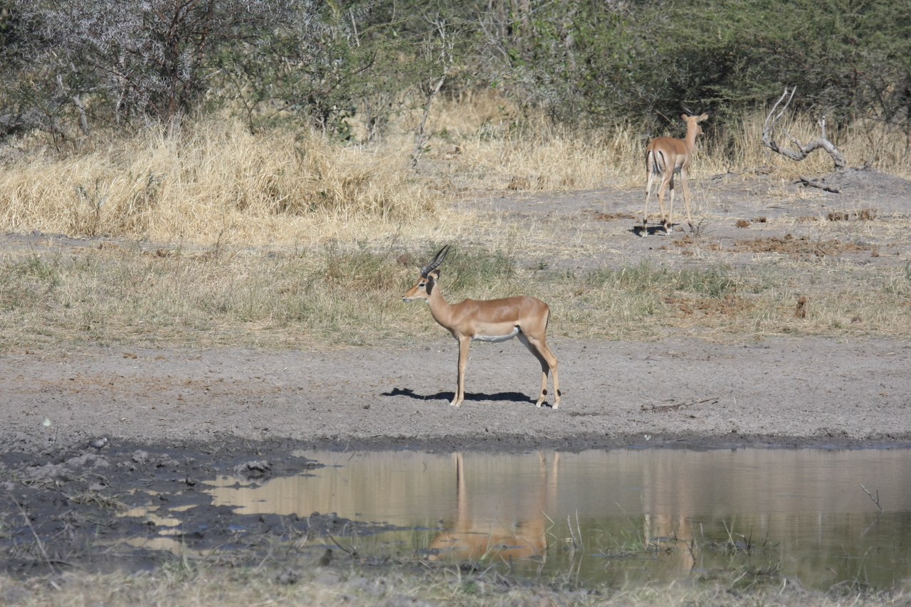 [16954] 2016_06_27_08_07_50_Africa_Canon_EOS_40D_IMG__09795.jpg
