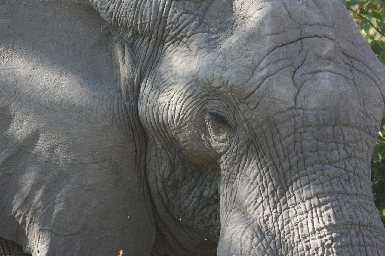 [17028] 2016_06_27_09_19_46_Africa_Canon_EOS_40D_IMG__00080.jpg