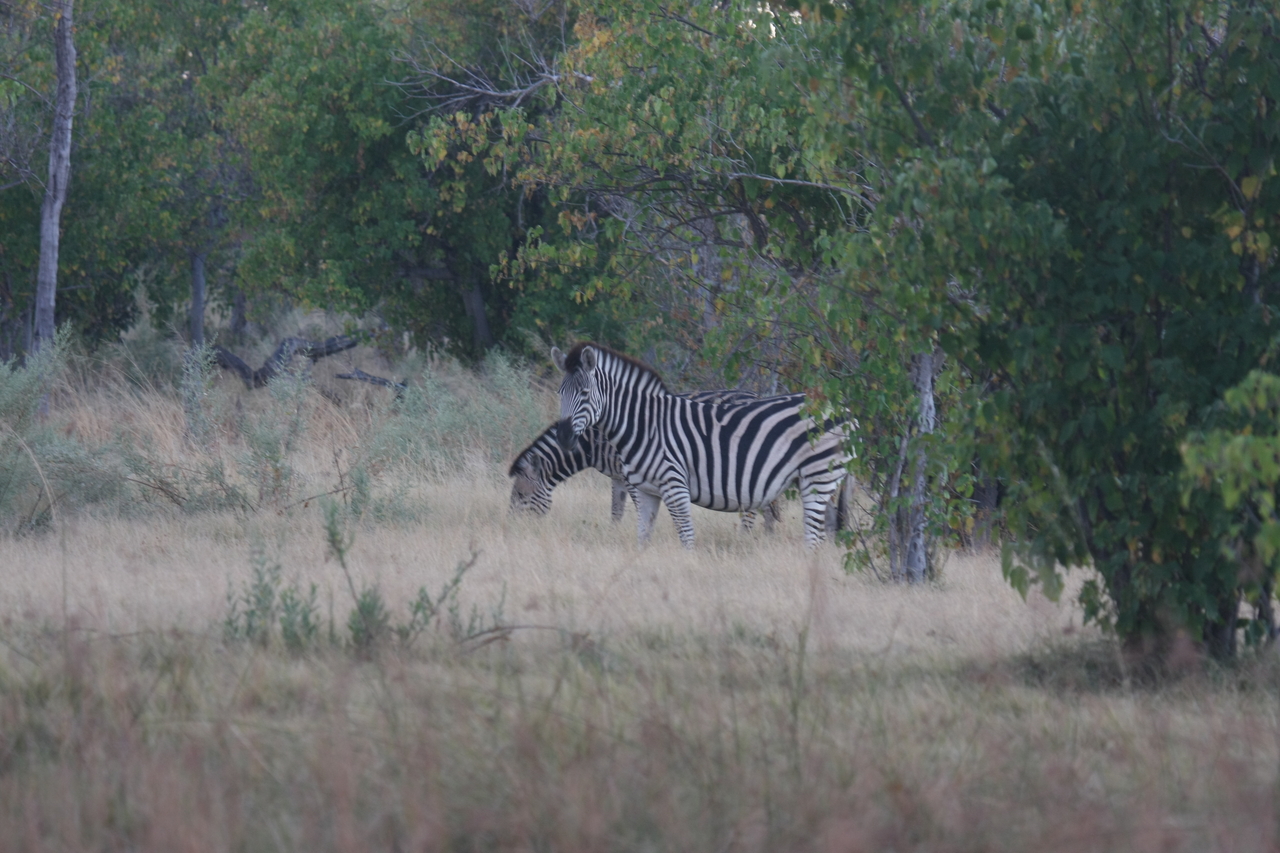 [17475] 2016_06_28_00_58_05_Africa_Canon_EOS_40D_IMG__09835.jpg