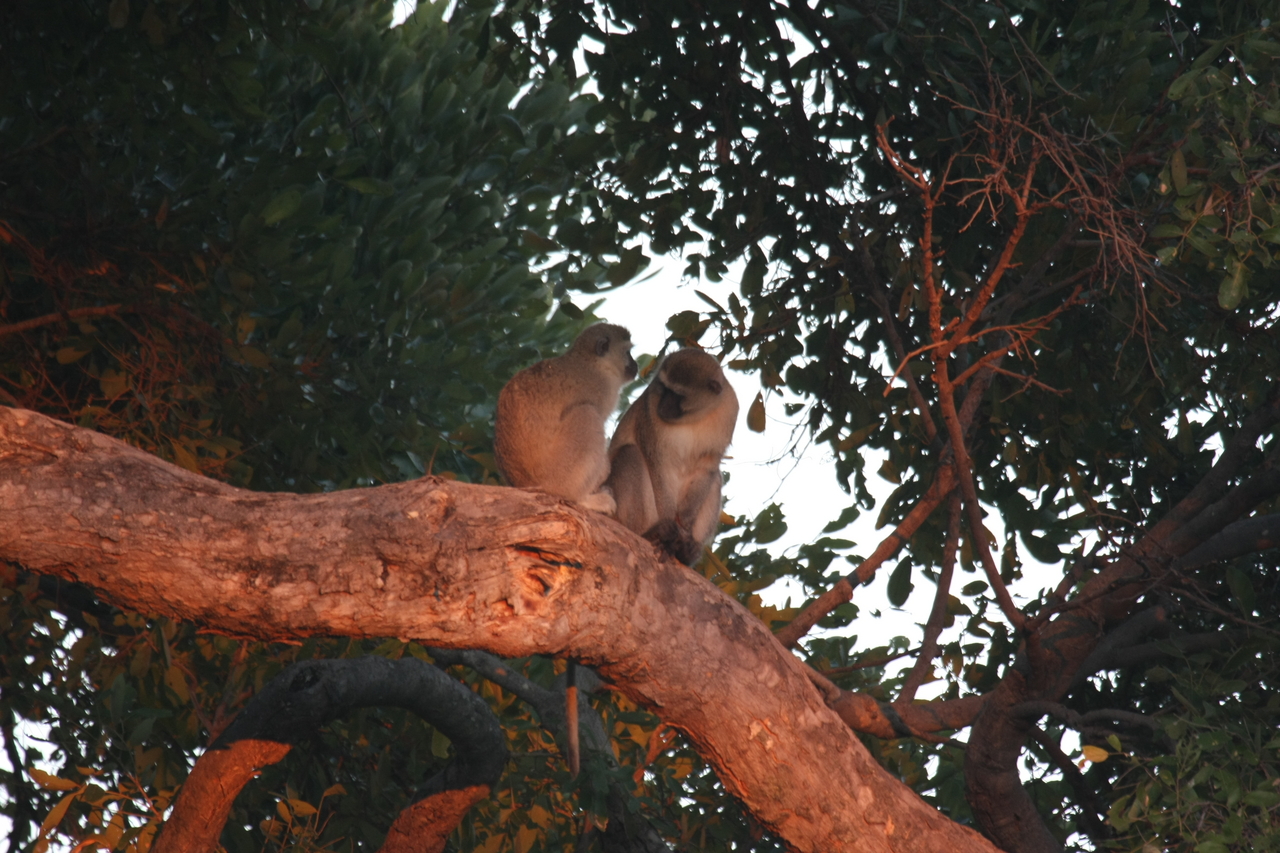 [17497] 2016_06_28_01_05_06_Africa_Canon_EOS_40D_IMG__03166.jpg