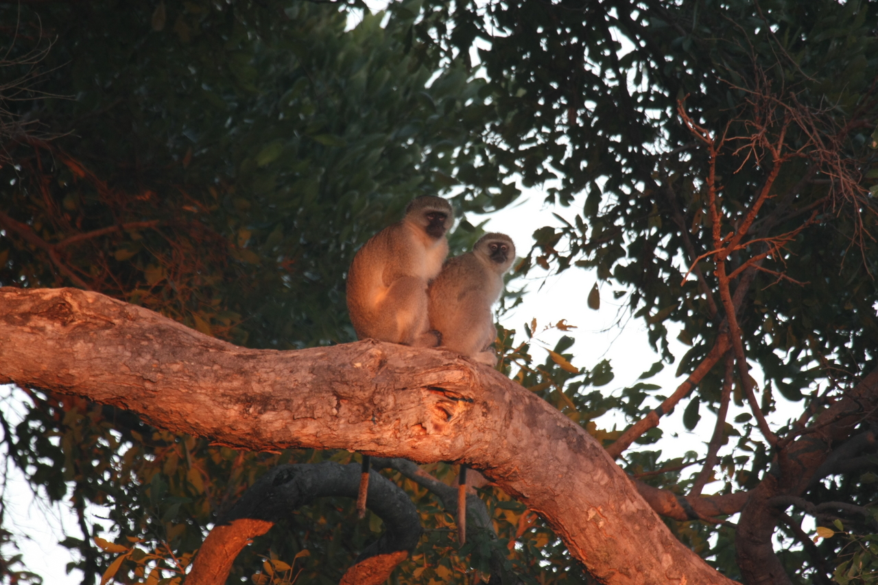 [17510] 2016_06_28_01_05_19_Africa_Canon_EOS_40D_IMG__02412.jpg