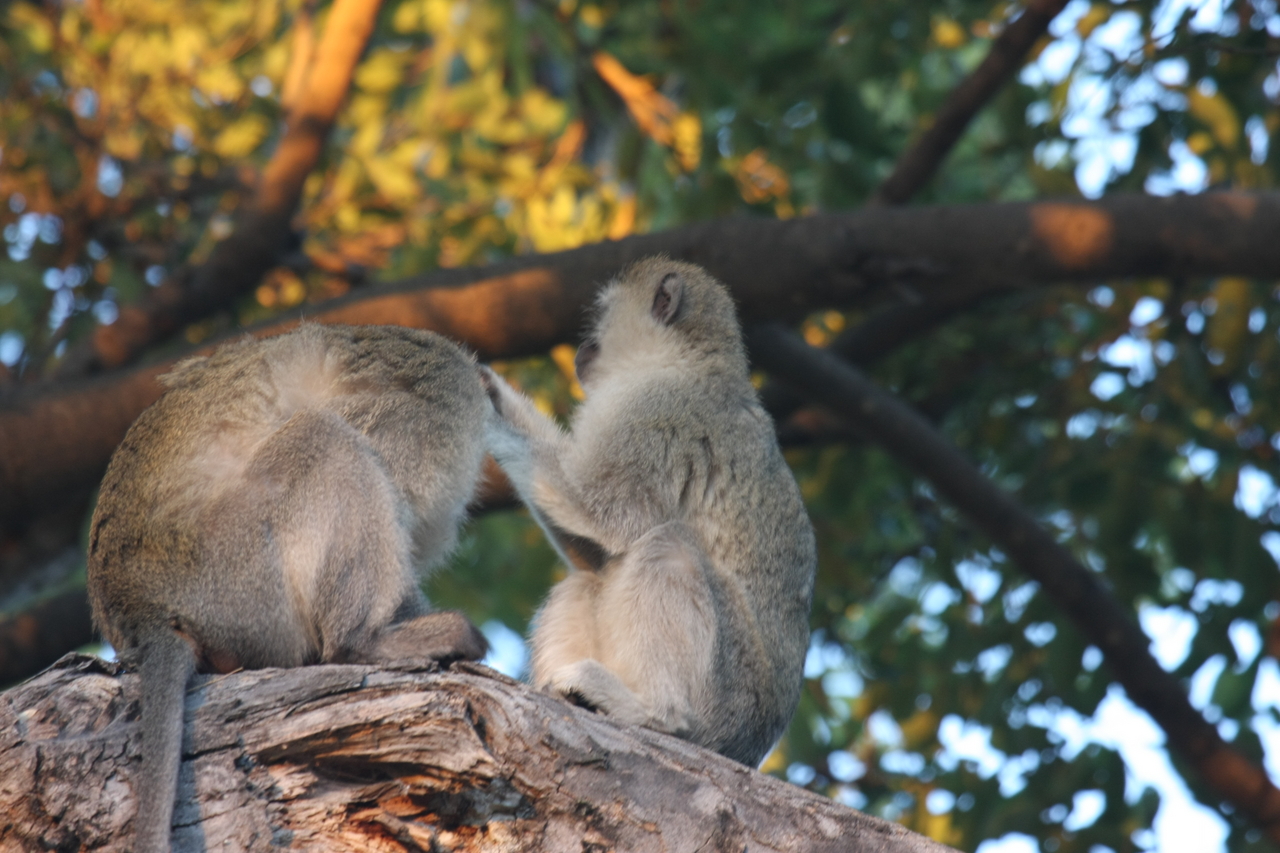 [17565] 2016_06_28_01_10_36_Africa_Canon_EOS_40D_IMG__10014.jpg