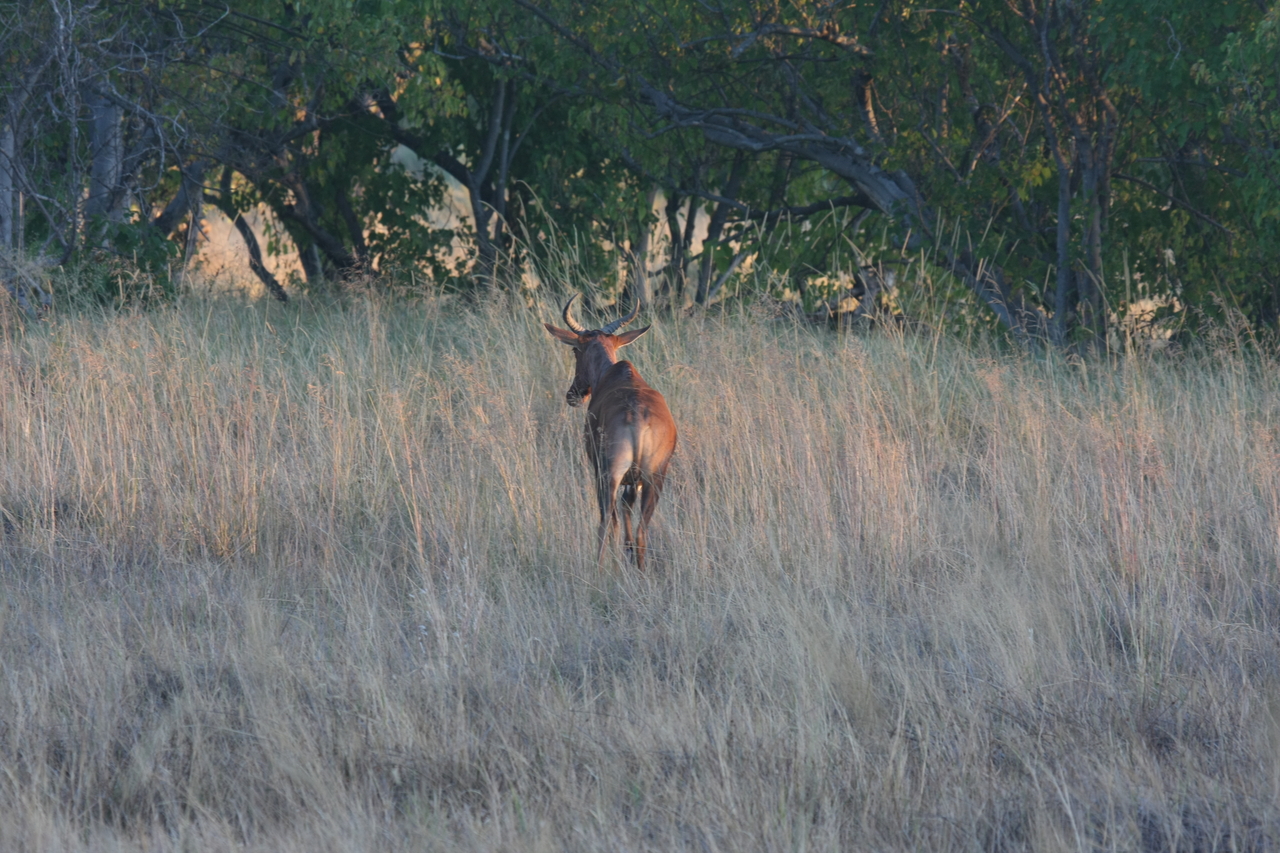 [17591] 2016_06_28_01_12_53_Africa_Canon_EOS_40D_IMG__10103.jpg