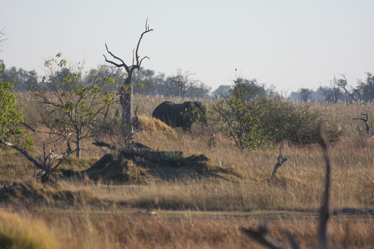 [17710] 2016_06_28_01_39_54_Africa_Canon_EOS_40D_IMG__00657.jpg