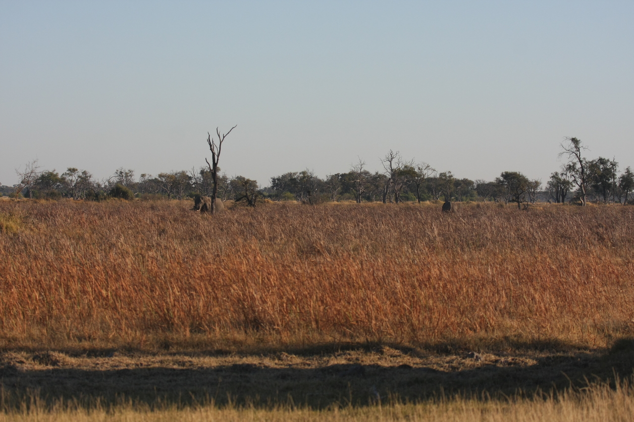 [17730] 2016_06_28_01_46_02_Africa_Canon_EOS_40D_IMG__00680.jpg