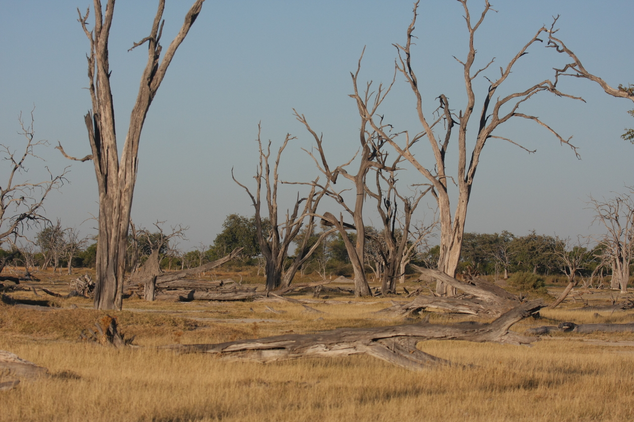 [17748] 2016_06_28_01_47_01_Africa_Canon_EOS_40D_IMG__00746.jpg