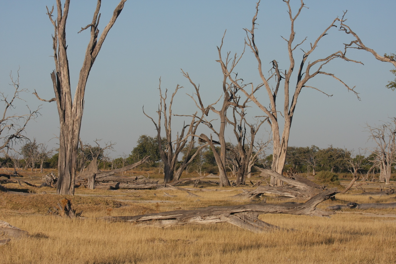 [17751] 2016_06_28_01_47_01_Africa_Canon_EOS_40D_IMG__03144.jpg
