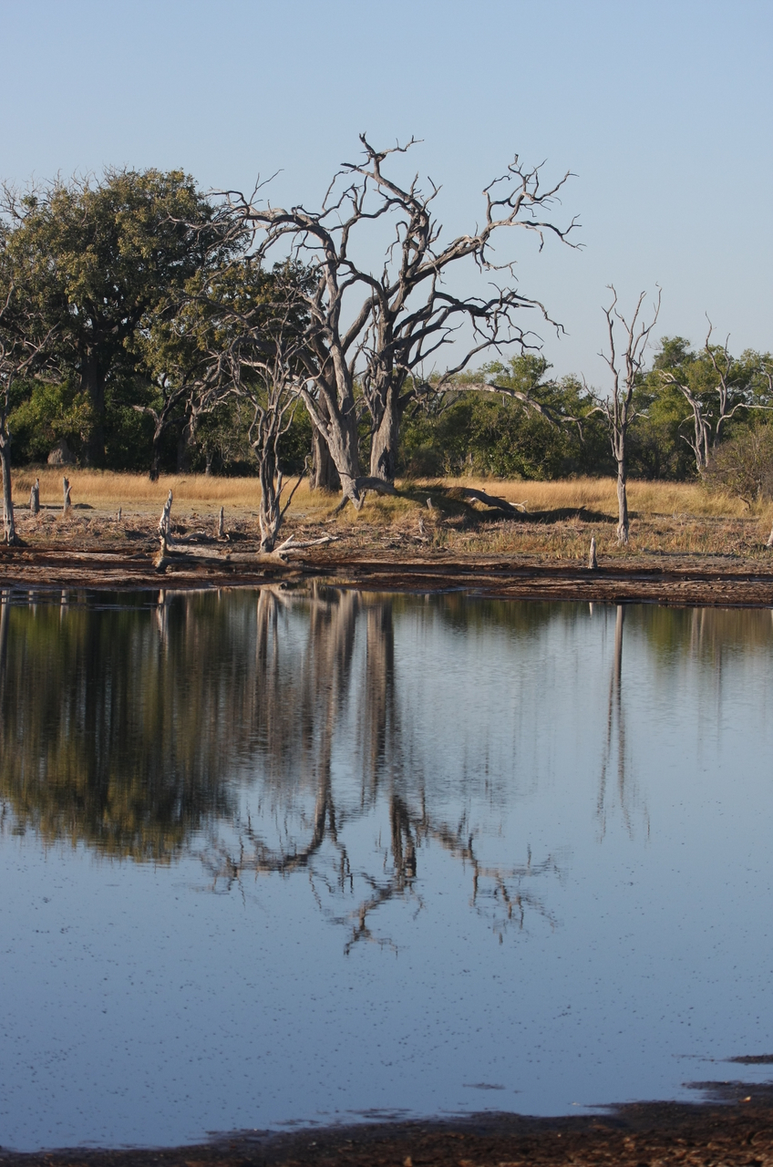[17792] 2016_06_28_02_04_56_Africa_Canon_EOS_40D_IMG__03234.jpg