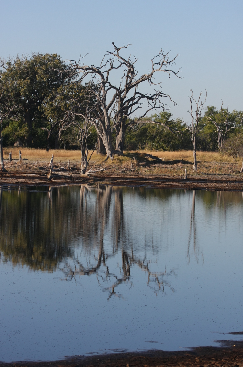 [17795] 2016_06_28_02_04_56_Africa_Canon_EOS_40D_IMG__10682.jpg