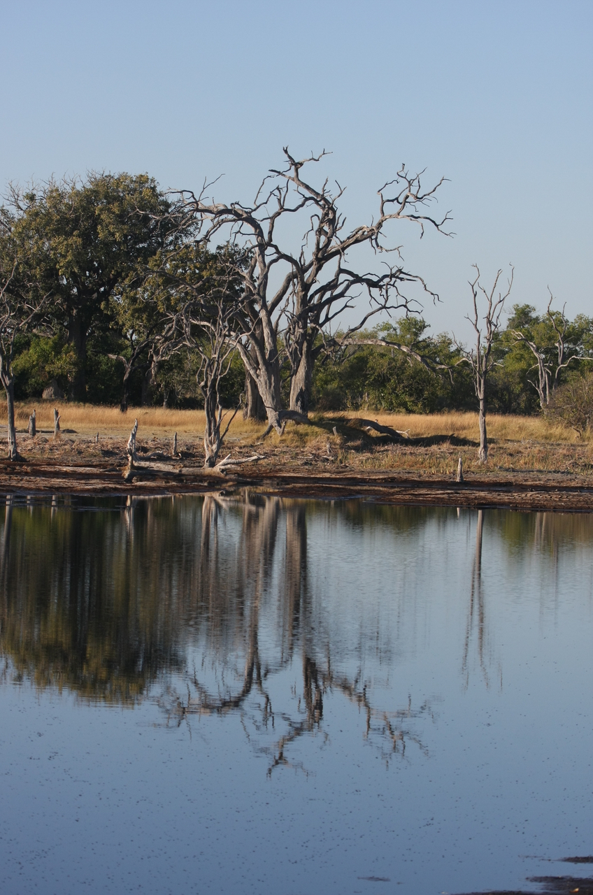 [17799] 2016_06_28_02_05_00_Africa_Canon_EOS_40D_IMG__03237.jpg