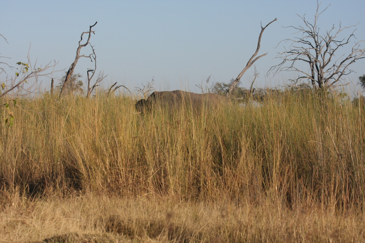[17802] 2016_06_28_02_08_42_Africa_Canon_EOS_40D_IMG__00851.jpg