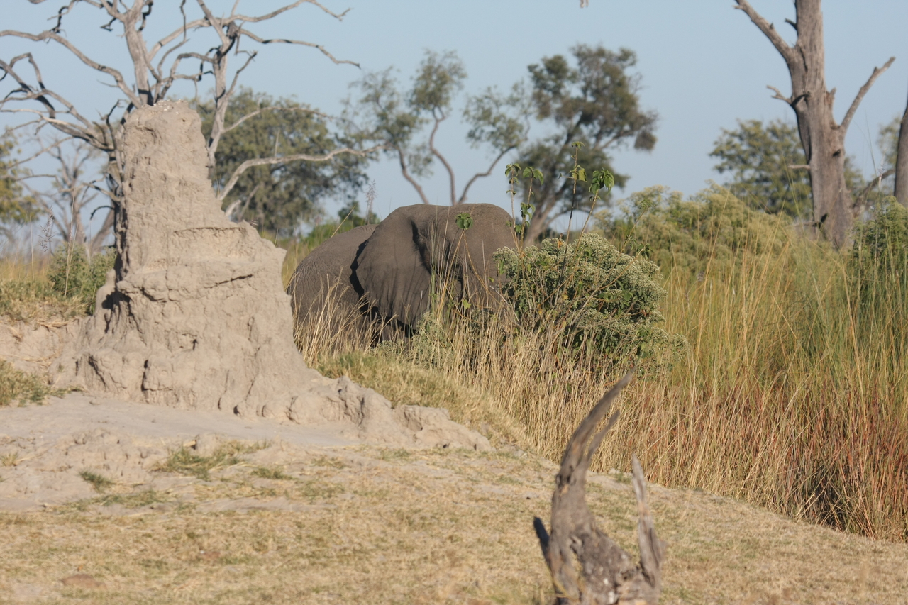 [17844] 2016_06_28_02_11_44_Africa_Canon_EOS_40D_IMG__02400.jpg