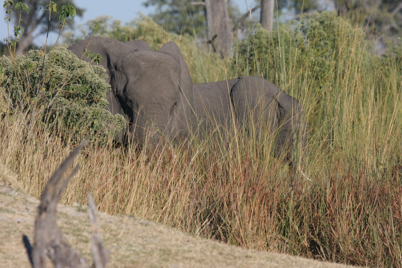 [17870] 2016_06_28_02_14_03_Africa_Canon_EOS_40D_IMG__02409.jpg