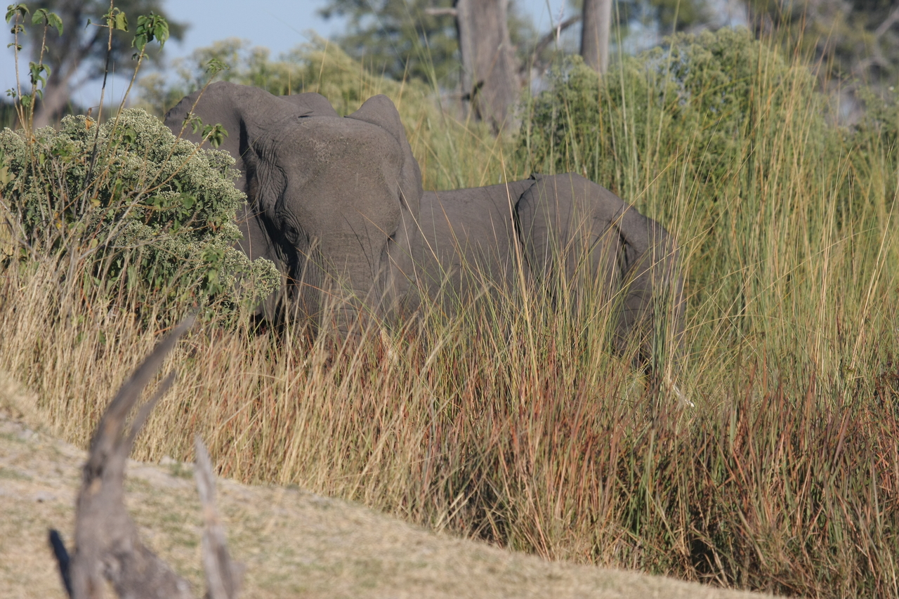 [17873] 2016_06_28_02_14_03_Africa_Canon_EOS_40D_IMG__09857.jpg