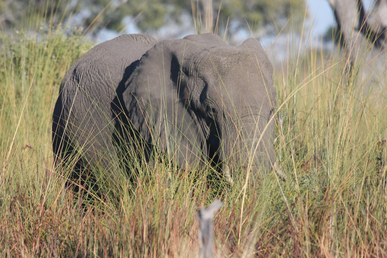 [17894] 2016_06_28_02_16_20_Africa_Canon_EOS_40D_IMG__09865.jpg