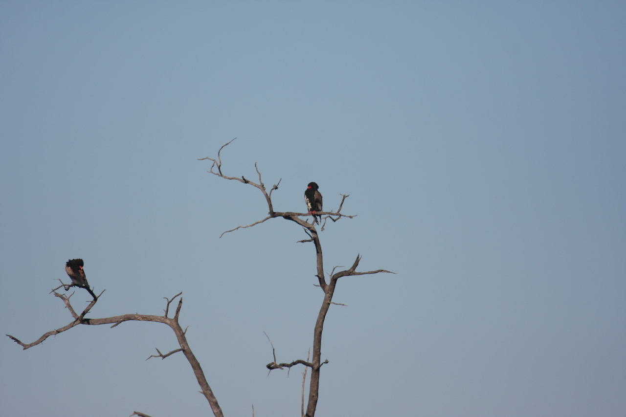 [18084] 2016_06_28_02_24_23_Africa_Canon_EOS_40D_IMG__00101.jpg