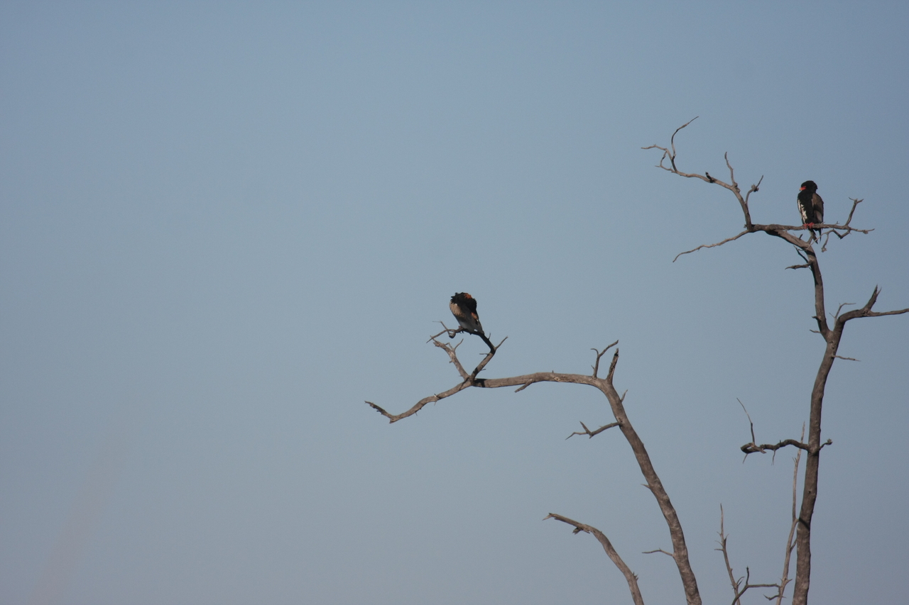[18094] 2016_06_28_02_24_32_Africa_Canon_EOS_40D_IMG__02492.jpg