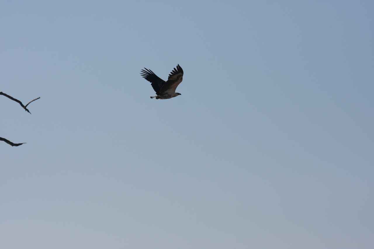 [18136] 2016_06_28_02_33_45_Africa_Canon_EOS_40D_IMG__09954.jpg