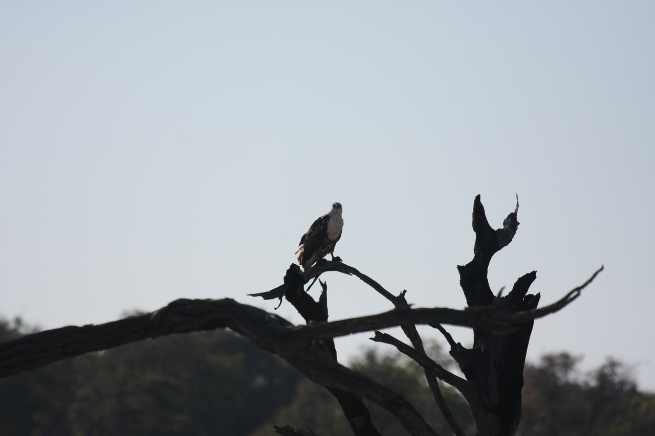 [18152] 2016_06_28_02_34_04_Africa_Canon_EOS_40D_IMG__02514.jpg
