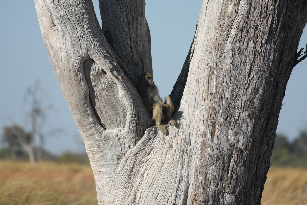 [18179] 2016_06_28_02_44_01_Africa_Canon_EOS_40D_IMG__02524.jpg
