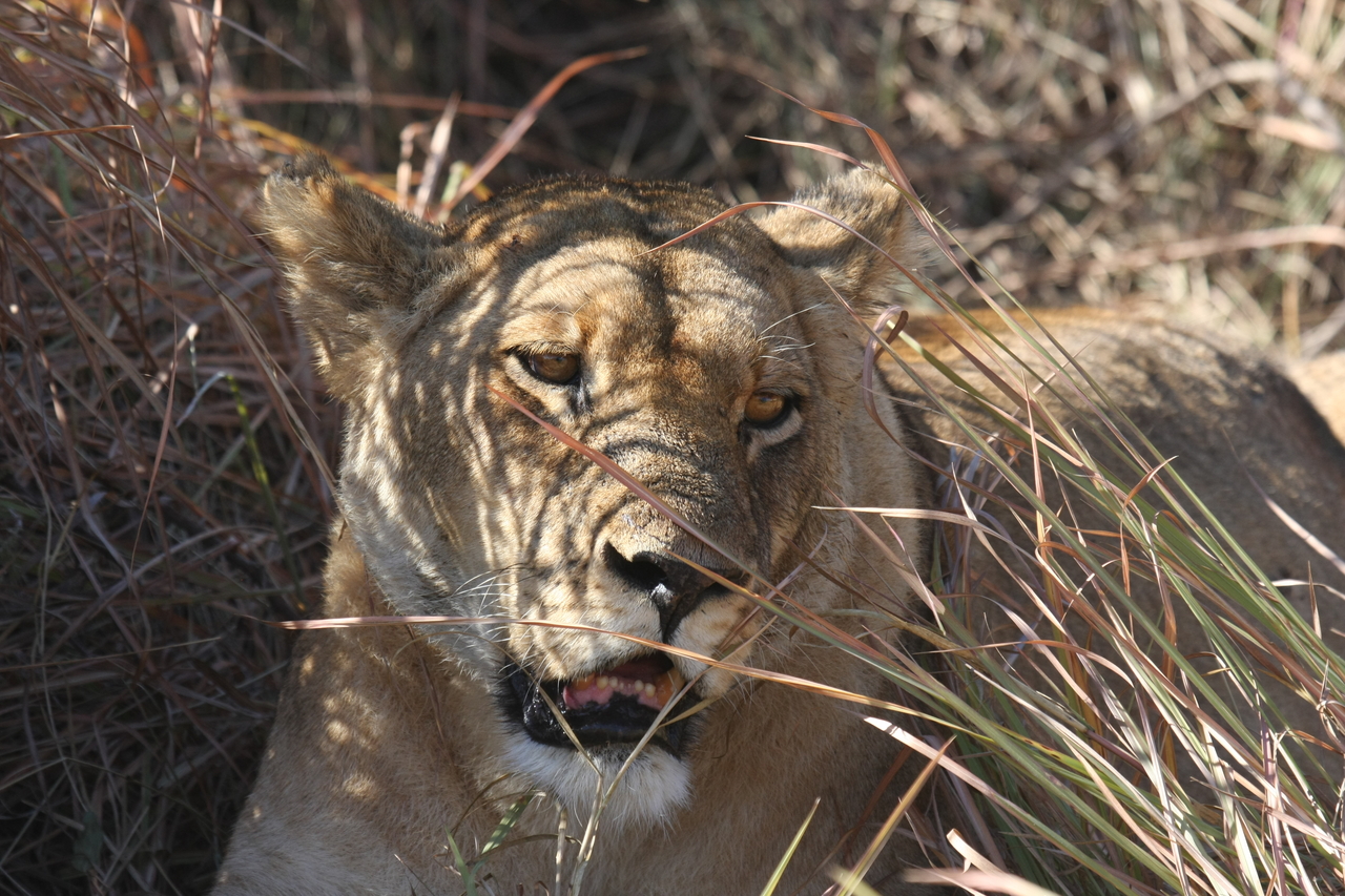 [18597] 2016_06_28_04_03_01_Africa_Canon_EOS_40D_IMG__02677.jpg