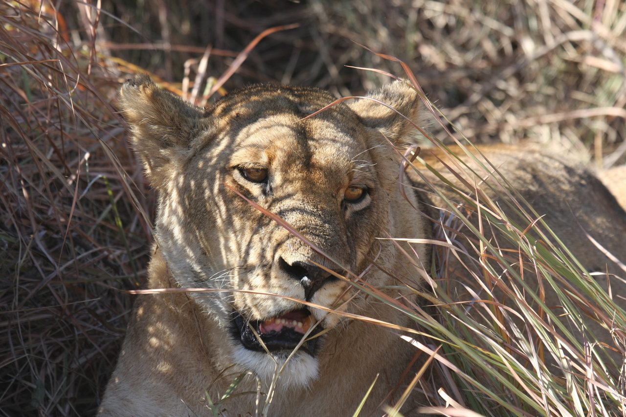 [18598] 2016_06_28_04_03_01_Africa_Canon_EOS_40D_IMG__02679.jpg