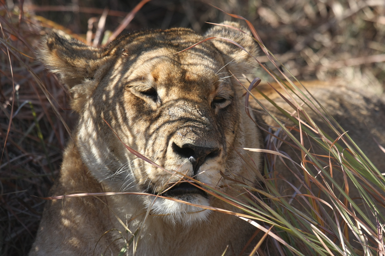 [18607] 2016_06_28_04_03_09_Africa_Canon_EOS_40D_IMG__10128.jpg